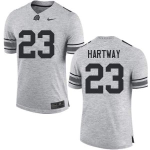 Men's Ohio State Buckeyes #23 Michael Hartway Gray Nike NCAA College Football Jersey Original SGI7344QL